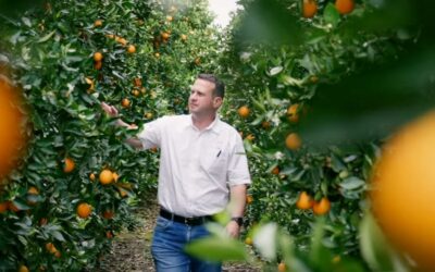 Sunday’s River Citrus Company
