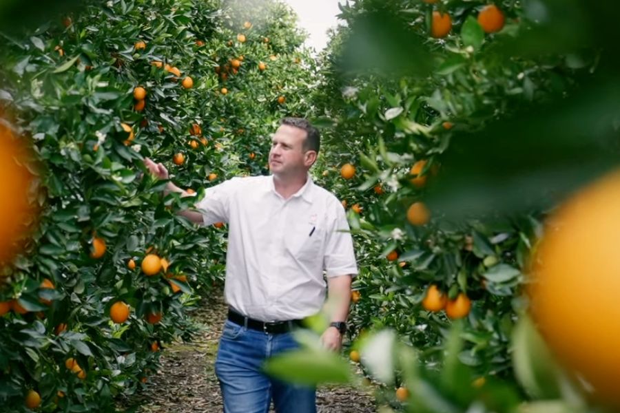 Sunday’s River Citrus Company